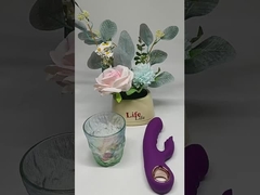 APP Rabbit Telescopic Massager Sex Toys Clitoral Stimulation Female Masturbator Dildo Vibrator